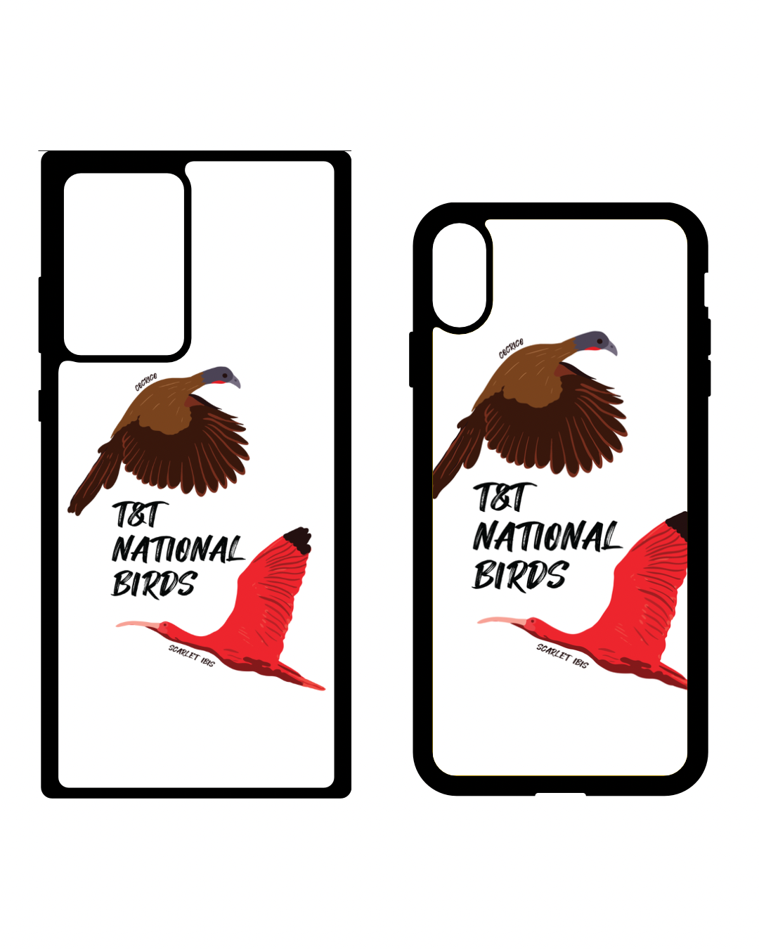 Trini Birds Case