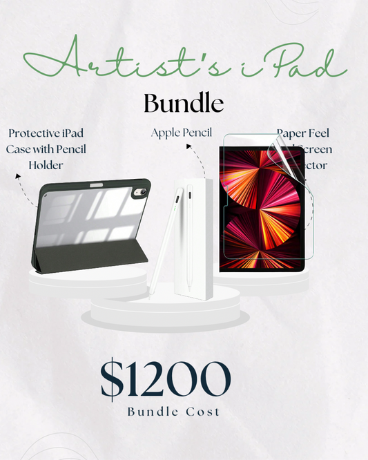 Artist's iPad Bundle